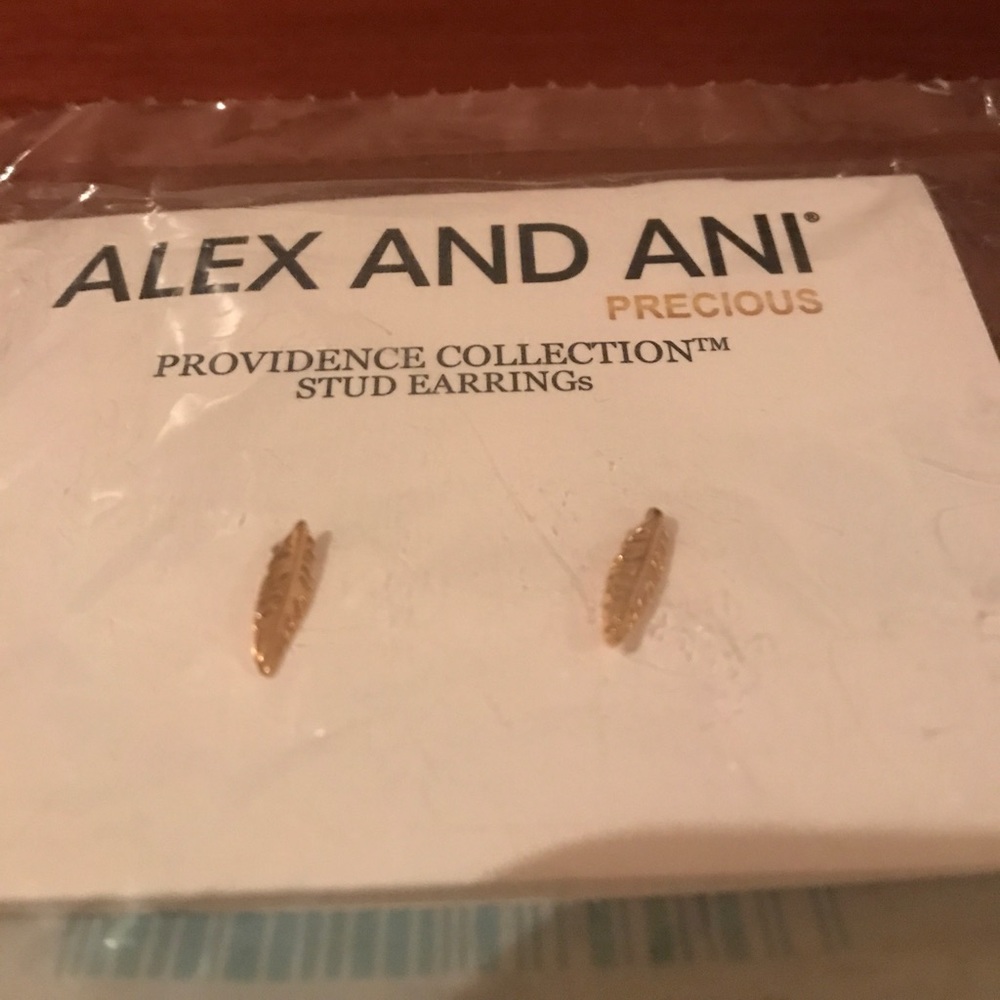 Alex and Ani Feather Earrings